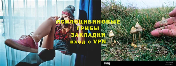 бутират Липки