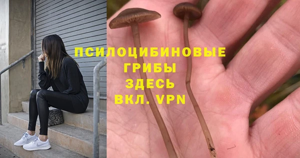 мяу мяу кристалл Лиски